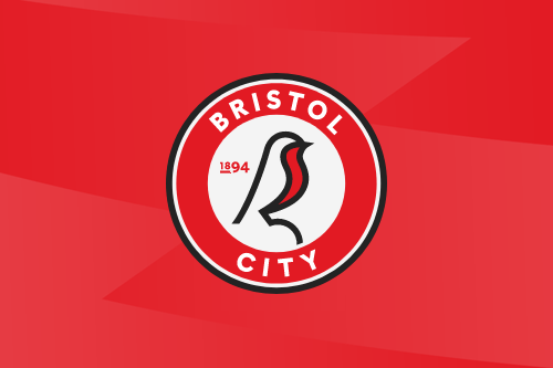 Bristol City thumbnail